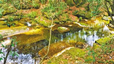 甘肅旅游丨八福溝，西秦嶺深處的水韻秘境