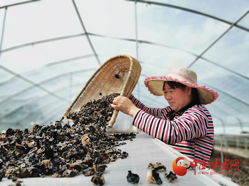康縣：木耳菌袋結(jié)出脫貧致富的“幸?；ā?>
        </a><em>康縣：木耳菌袋結(jié)出脫貧致富的“幸?；ā?/em></li>
    <li><a  target=