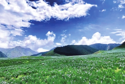 “領(lǐng)略不一樣的夏季風(fēng)情！”走進中國旅游避暑勝地武威