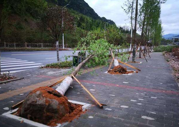 刮風(fēng)下雨加速新冠病毒傳播？別信！