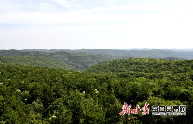 【甘肅生態(tài)環(huán)保媒體行】子午嶺深處，一家三代人用生命守護(hù)黃土高原的“天然生態(tài)屏障”