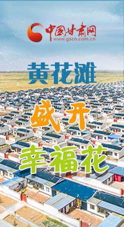 【跟著總書記看甘肅】長(zhǎng)圖|武威黃花灘盛開幸?；?
