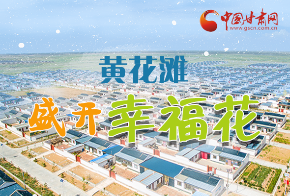 【跟著總書記看甘肅】長(zhǎng)圖|武威黃花灘盛開幸?；?