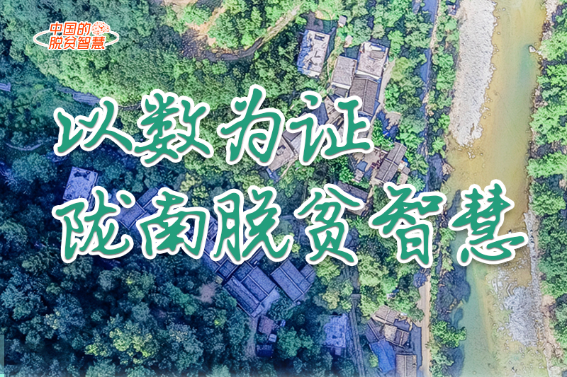 【中國(guó)的脫貧智慧】以數(shù)為證！隴南脫貧智慧來(lái)了！