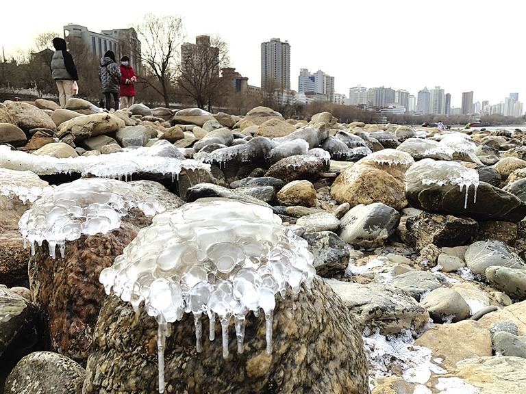 蘭州：水母上河灘？