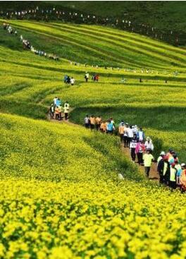 甘肅明確農(nóng)民進(jìn)城落戶:不以退出承包地、林地等為條件