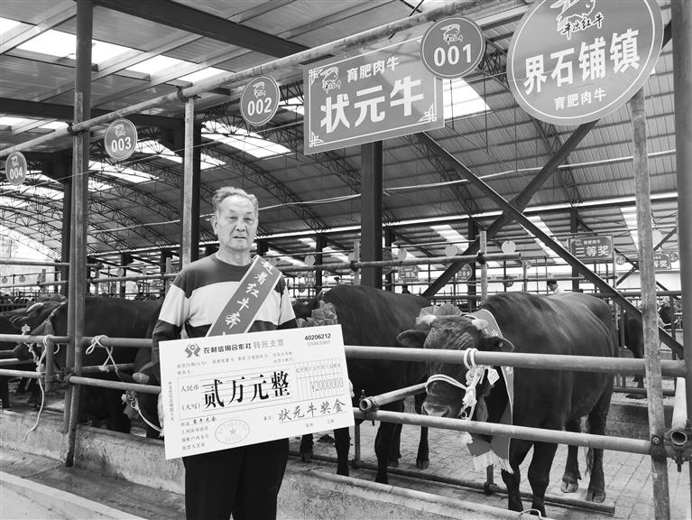 120頭“平?jīng)黾t?！膘o寧爭(zhēng)霸