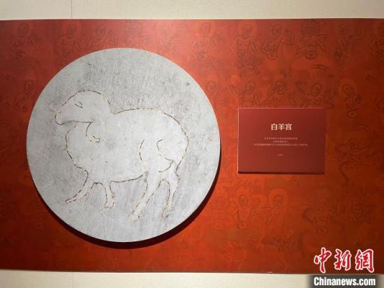 圖為展覽現(xiàn)場?！〗瓧顭?攝
