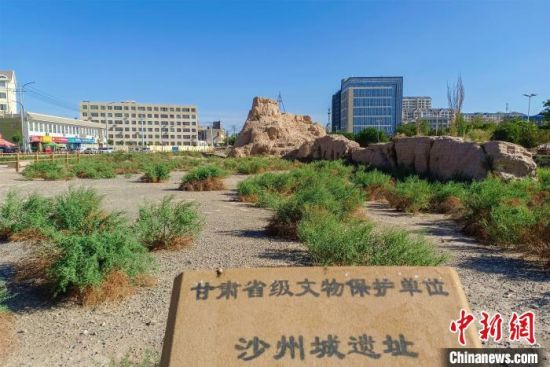 圖為沙州郡城遺址公園古遺址?！⊥醣筱y 攝