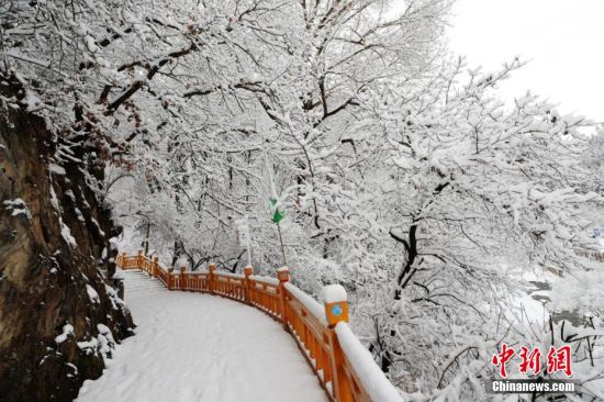 圖為上山的石階被雪覆蓋。張?zhí)鞂?攝