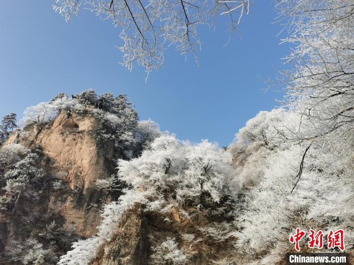 圖為藍(lán)天下霧凇籠罩山脈。　徐振華 攝