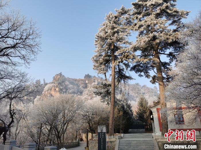圖為崆峒山霧凇景色美不勝收?！⌒煺袢A 攝