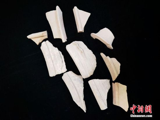 圖為靜寧縣賈河鄉(xiāng)竇坪村出土的彩陶片、紅陶片。 夏劍鋒 攝