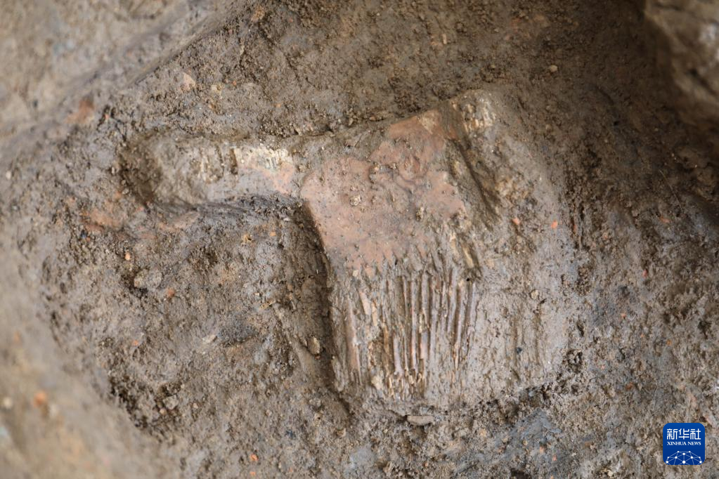 河南南陽市黃山新石器時(shí)代遺址出土的屈家?guī)X文化骨梳（資料圖）。