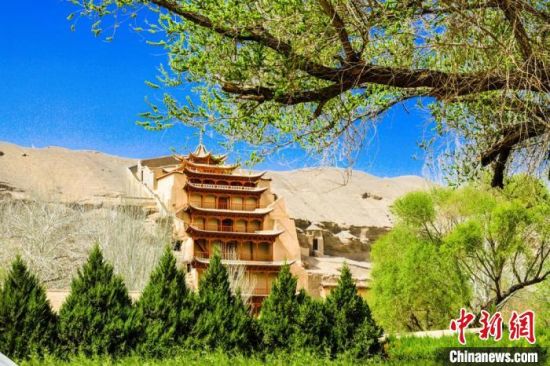 4月的敦煌莫高窟景區(qū)春意盎然。(資料圖) 王斌銀 攝