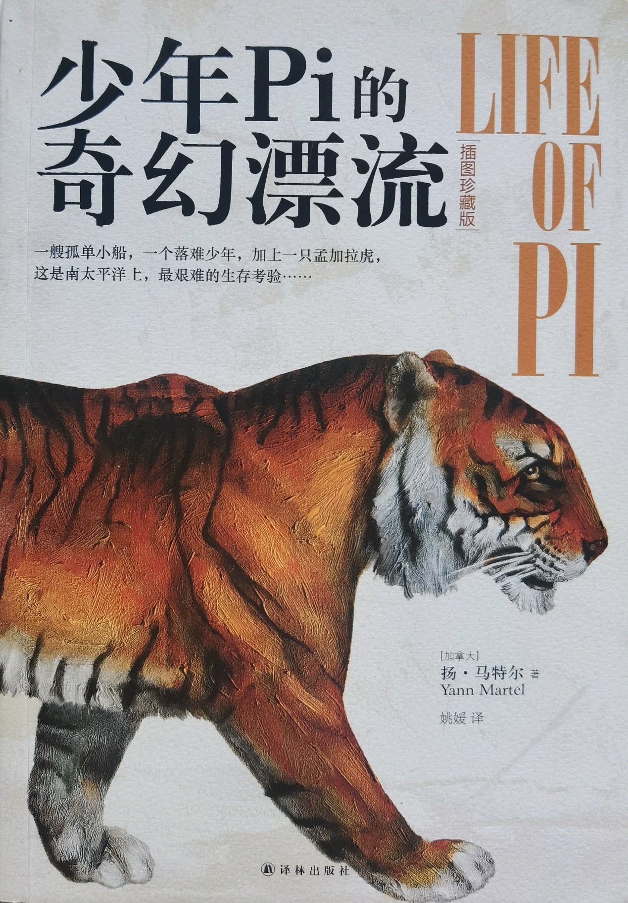 插圖1：揚(yáng)？馬特爾的小說(shuō)《少年pi的奇幻漂流》封面