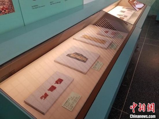 圖為展覽現場?！《鼗脱芯吭汗﹫D
