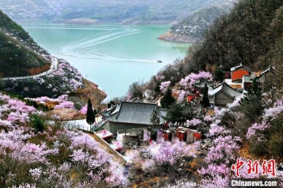 甘肅平?jīng)鍪惺侵袊鴥?yōu)秀旅游城市。圖為平?jīng)鲠轻忌较率锾一ㄊ㈤_。(資料圖) 平?jīng)鍪形麄鞑抗﹫D