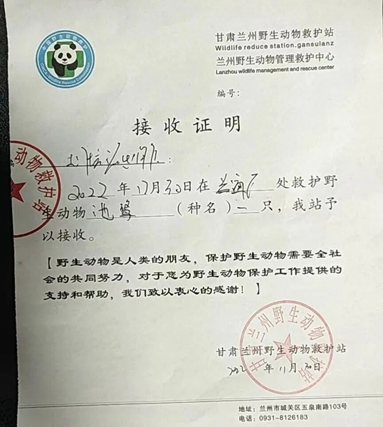 受到救助的池鷺被蘭州野生動物保護(hù)站接收。（蘭州市公安局七里河分局供圖）