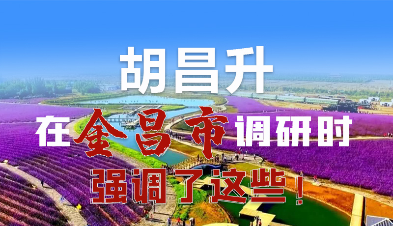 圖解|胡昌升在金昌市調(diào)研時強調(diào)了這些！