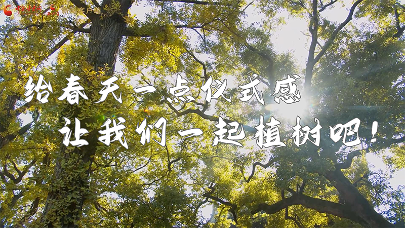 短視頻|給春天一點儀式感，讓我們一起植樹吧！