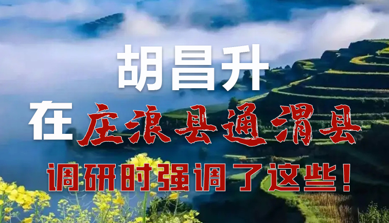 圖解|胡昌升在莊浪縣通渭縣調(diào)研時強(qiáng)調(diào)了這些！