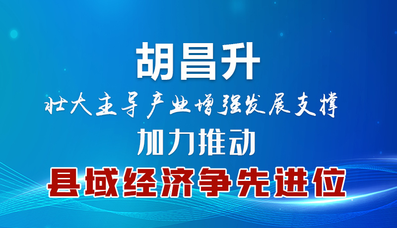 胡昌升：壯大主導(dǎo)產(chǎn)業(yè)增強發(fā)展支撐 加力推動縣域經(jīng)濟(jì)爭先進(jìn)位