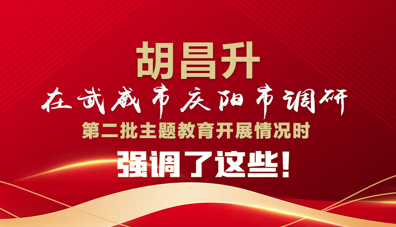 圖解|胡昌升在武威市慶陽市調(diào)研第二批主題教育開展情況時強調(diào)了這些！