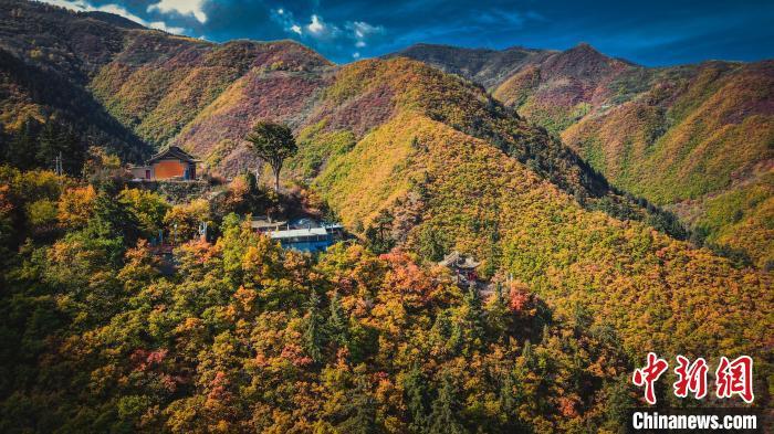 深秋，位于蘭州市榆中縣的興隆山，似打翻調(diào)色板。金峯 攝