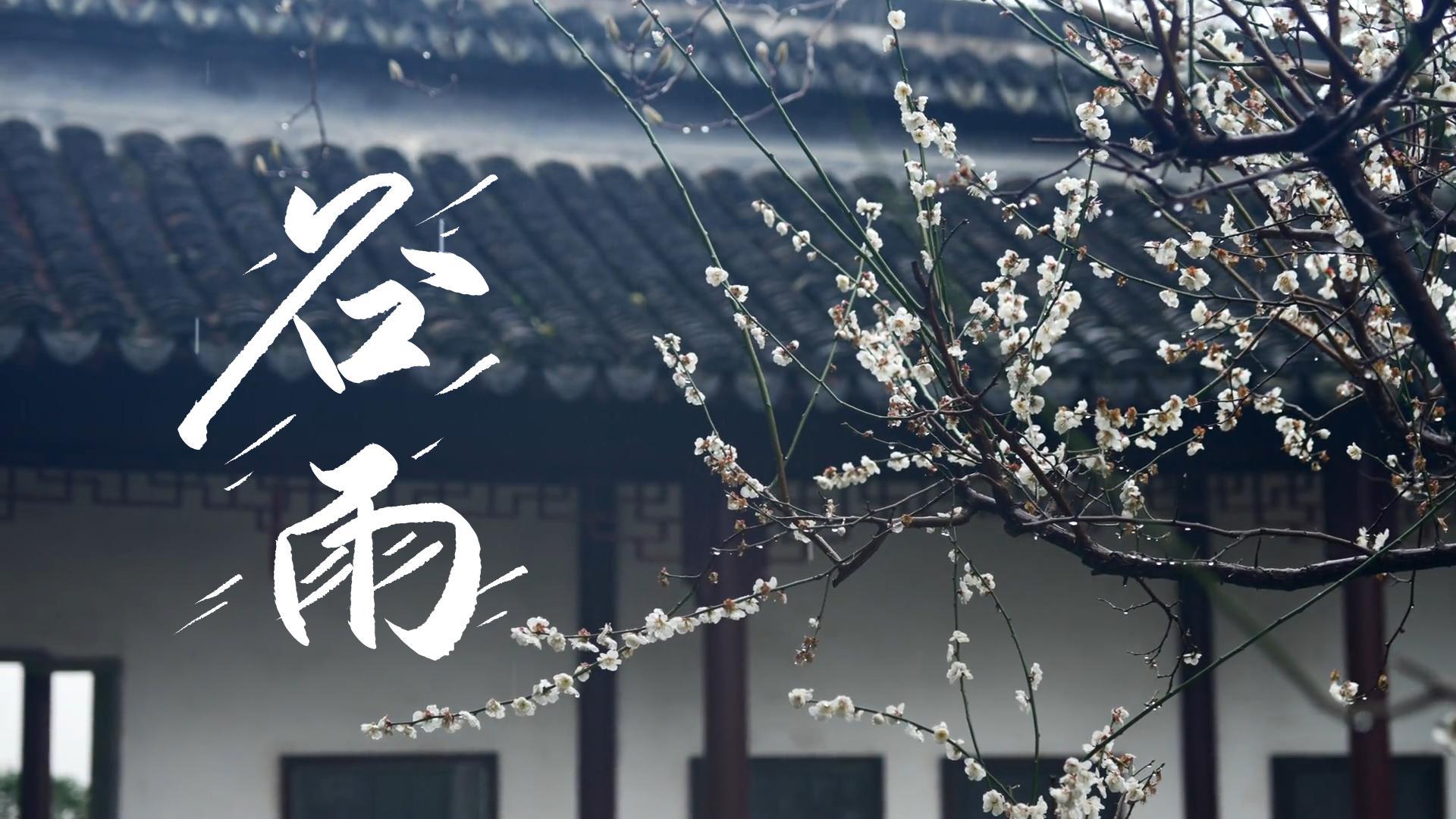 【節(jié)氣里的大美甘肅】谷雨，春天的最后一次回眸