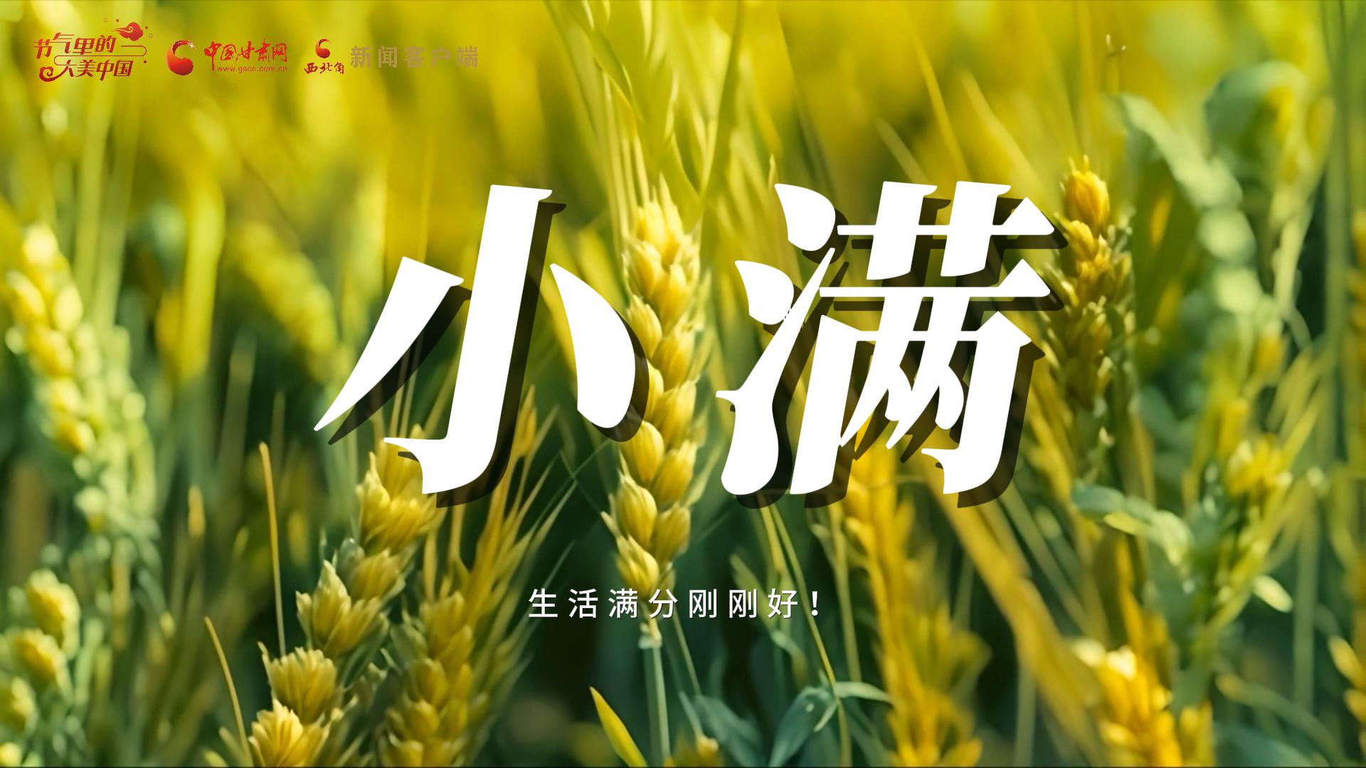 【節(jié)氣里的大美甘肅·小滿】生活滿分剛剛好！
