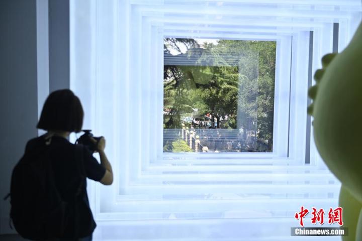圖為游客參觀藝術展。中新社記者 李亞龍 攝