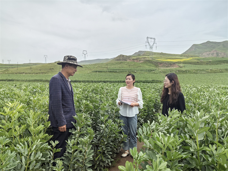 1721898041570263.jpg 圖為古浪縣十八里堡鄉(xiāng)紀檢監(jiān)察干部在東廟兒溝村大豆種植基地了解產業(yè)獎補政策落實情況.jpg