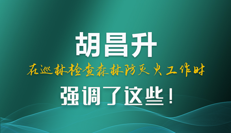 圖解|胡昌升在巡林檢查森林防滅火工作時(shí)強(qiáng)調(diào)了這些！