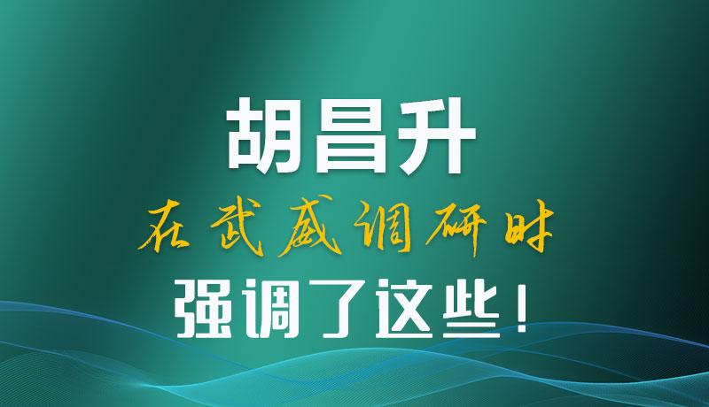 圖解|胡昌升在武威調(diào)研時強(qiáng)調(diào)了這些！
