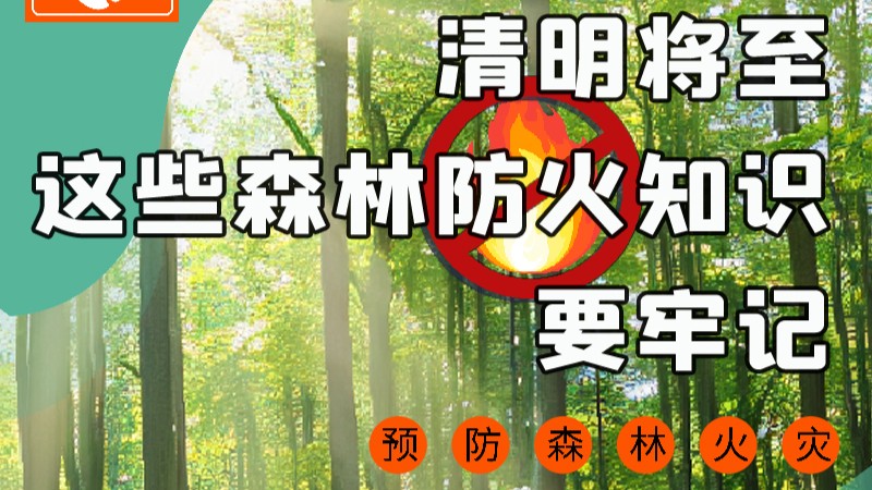 【甘快看】圖解|緊繃“安全弦”！清明，這些森林防火知識要牢記