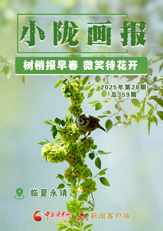 【小隴畫報(bào)·359期】永靖：樹(shù)梢報(bào)早春 微笑待花開(kāi)